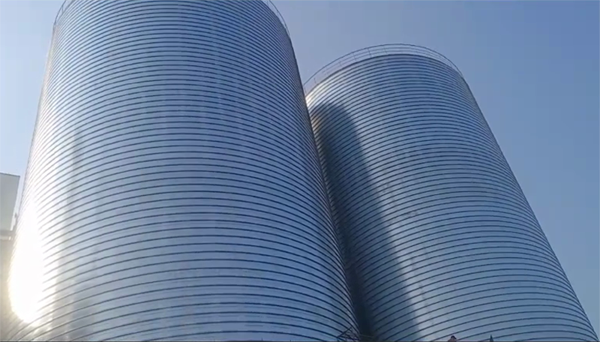 常德2座混凝土高架卷板仓